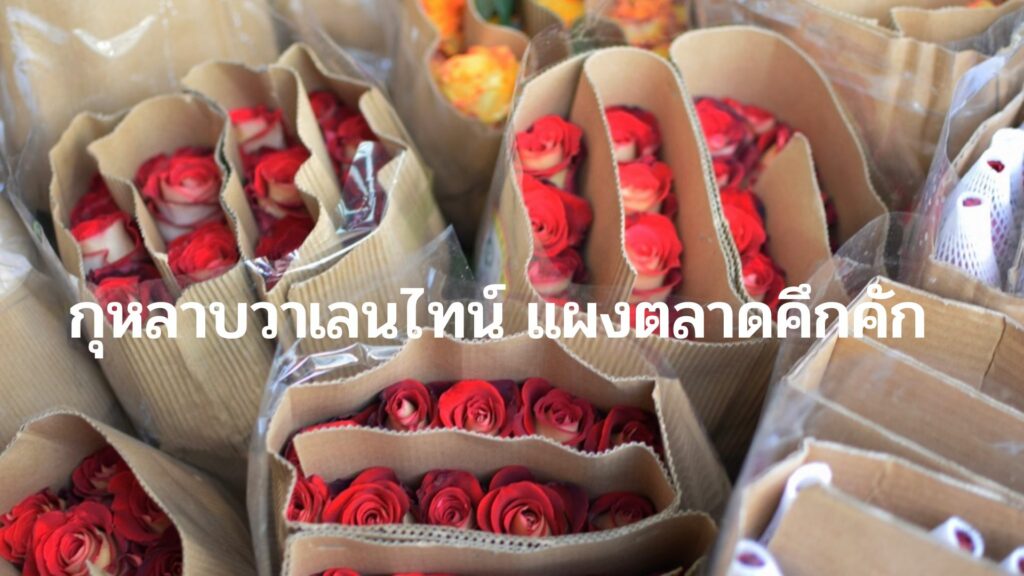 กุหลาบวาเลนไทน์ แผงตลาดคึกคัก